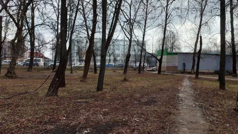 Работы по благоустройству сквера на Северной площади пройдут в этом году в подмосковном Серпухове