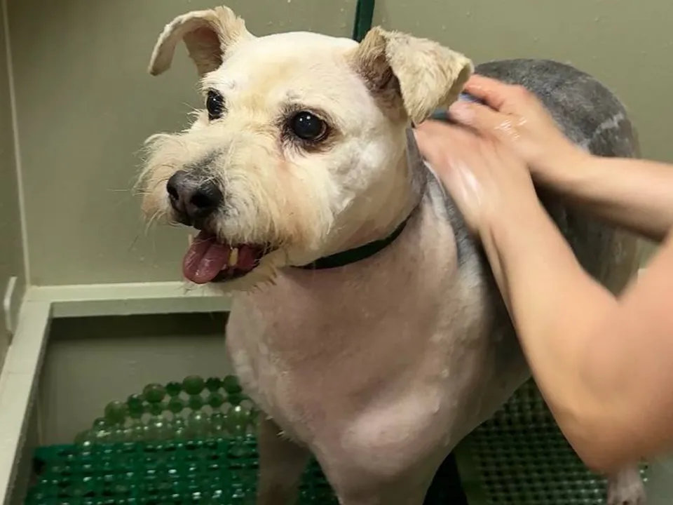 Фото: Виолетта Горбачева