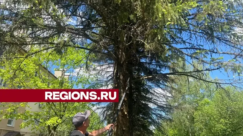 Фото: Ксения Афонина