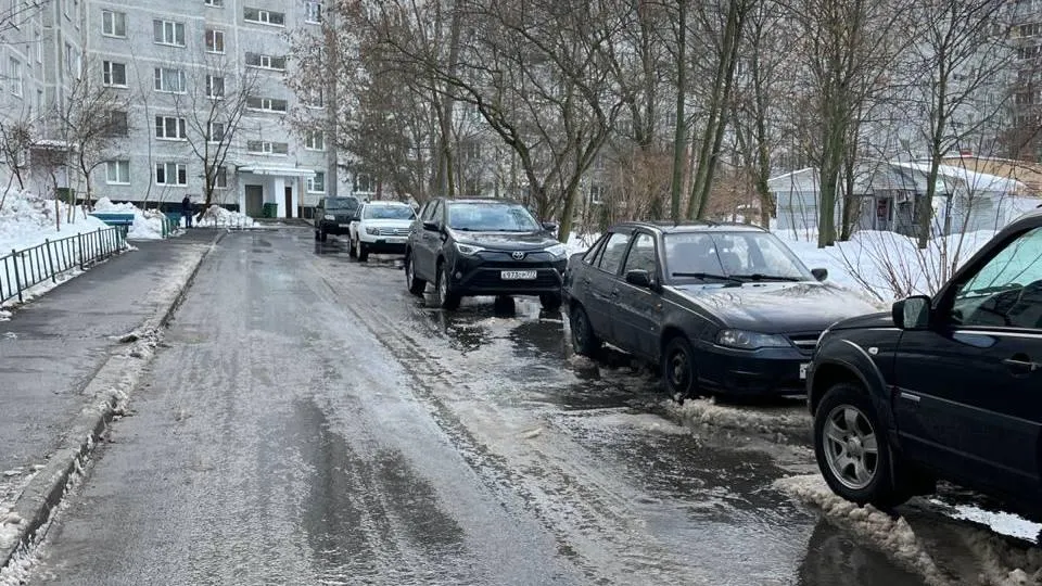 Фото: пресс-служба администрации г. о. Фрязино