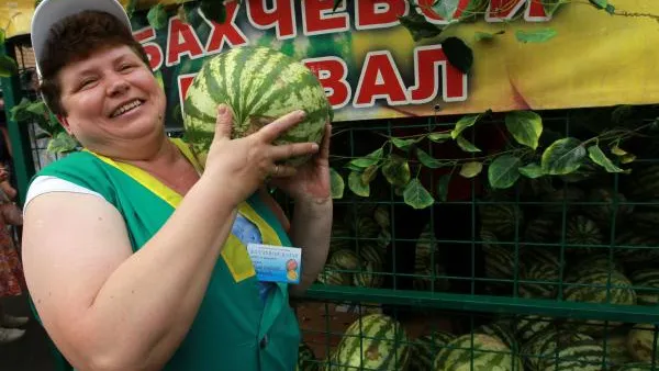 Михаил Фомичев / РИА Новости