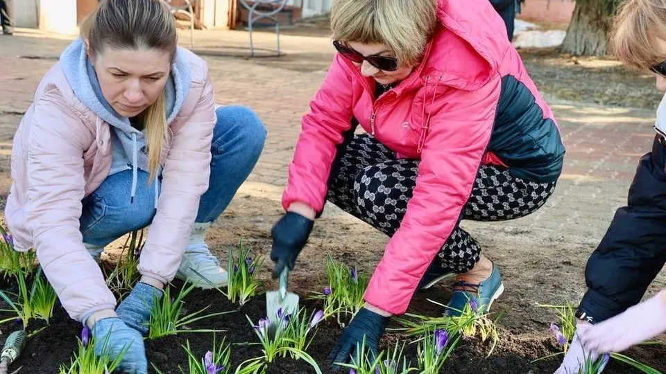 Фото: t.me/semenovdo