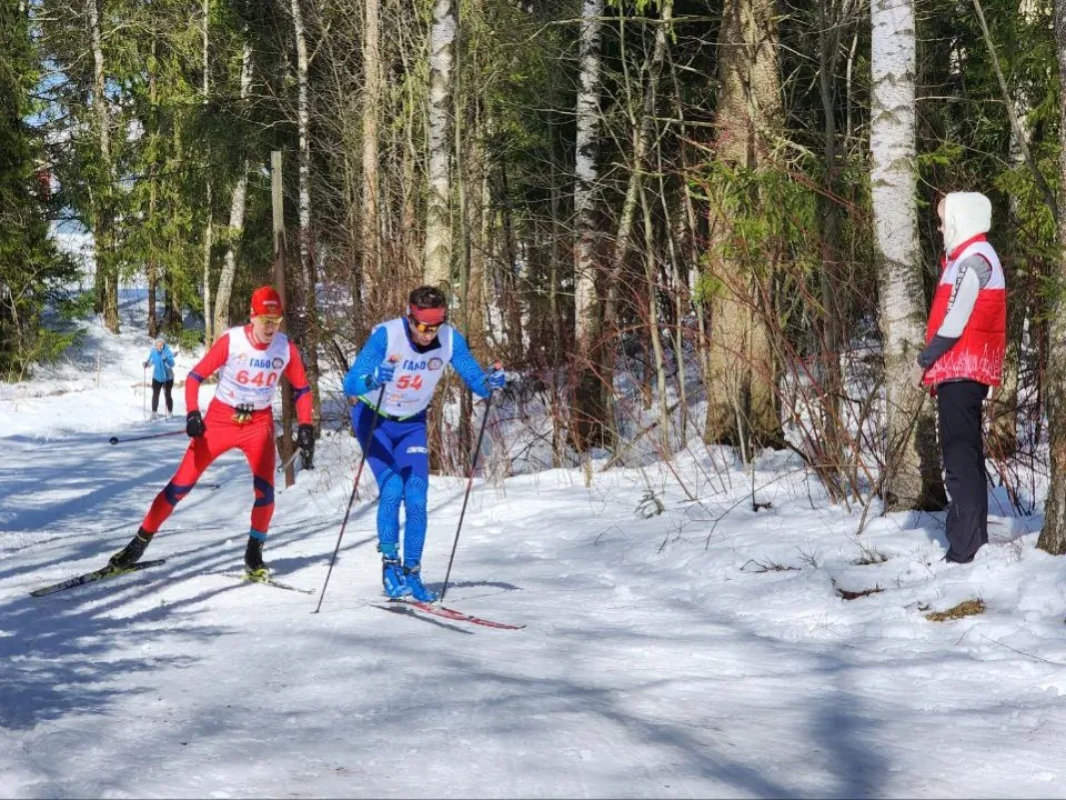 Фото: Евгений Рой