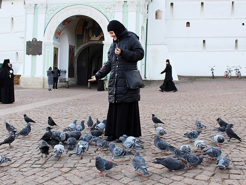 Фото: ivermon.ru