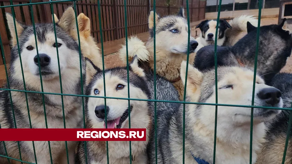 Фото: Екатерина Данилина