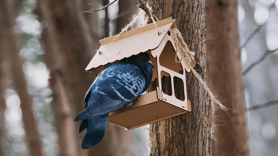 Фото: REGIONS/Анастасия Кульшенко