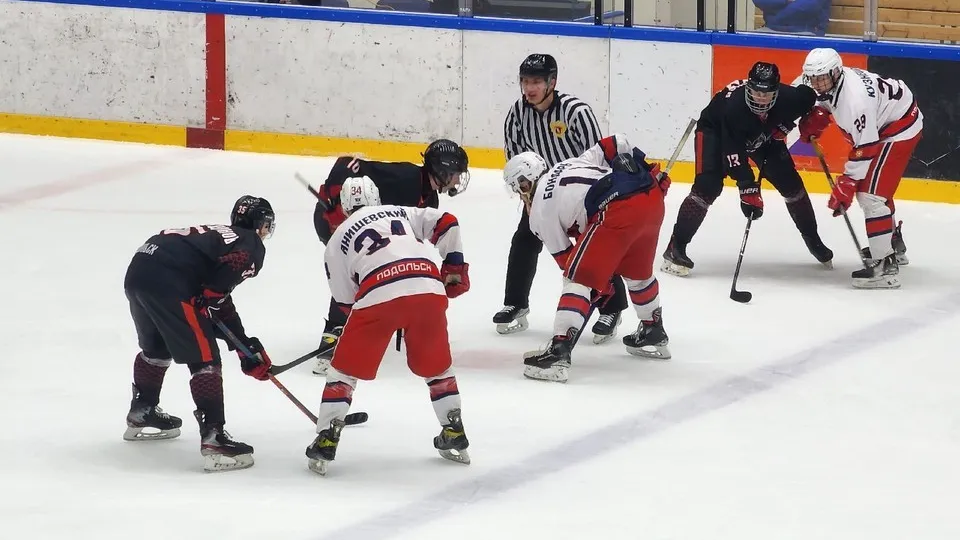 Фото: МедиаБанк Подмосковья/Мария Шигорева