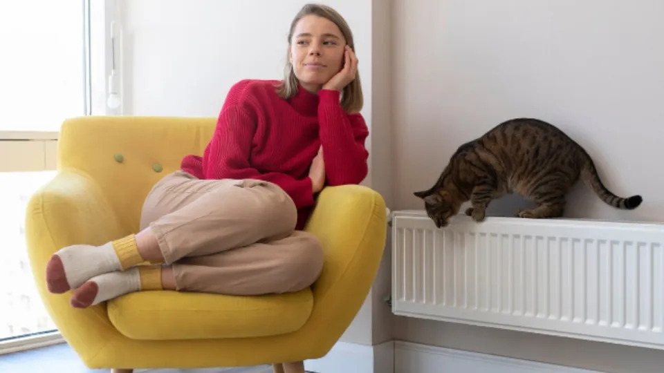 Фото: freepik.com