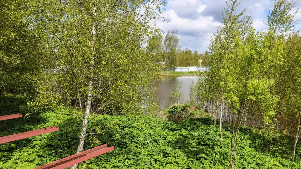 Фото: t.me/Юлия Купецкая