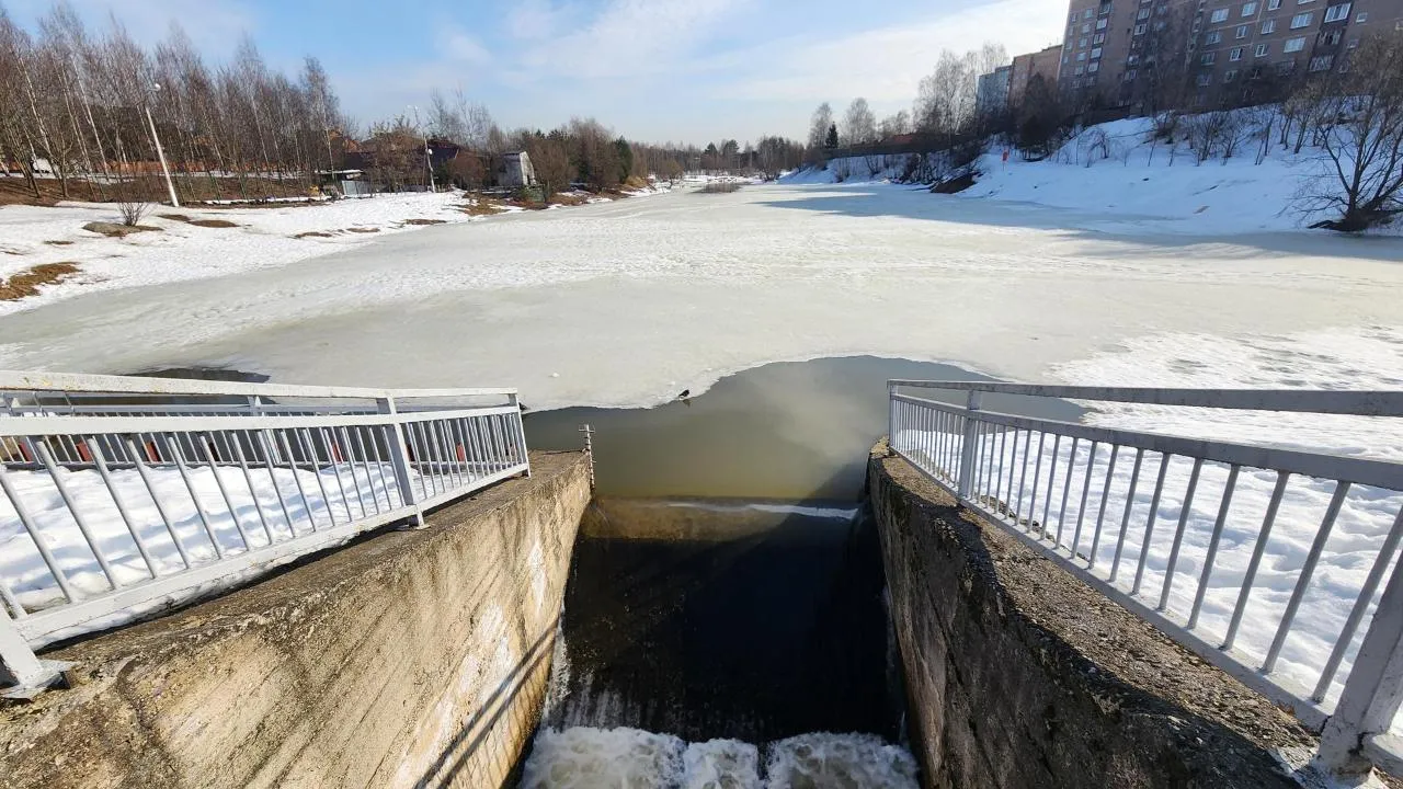 REGIONS/Кристина Ларина