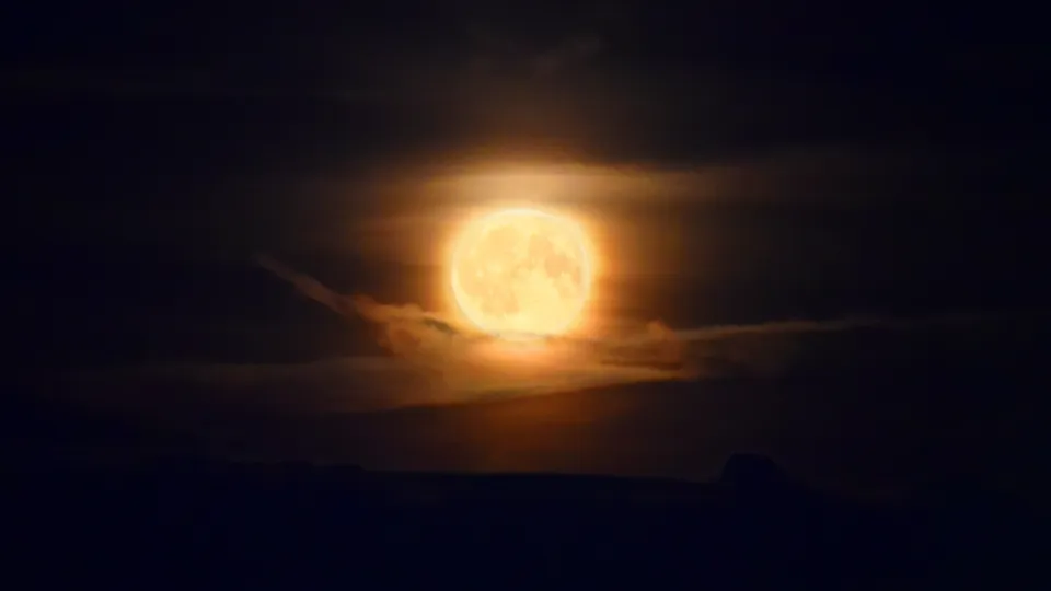 Фото: МедиаБанк Подмосковья/Добрынина Галина