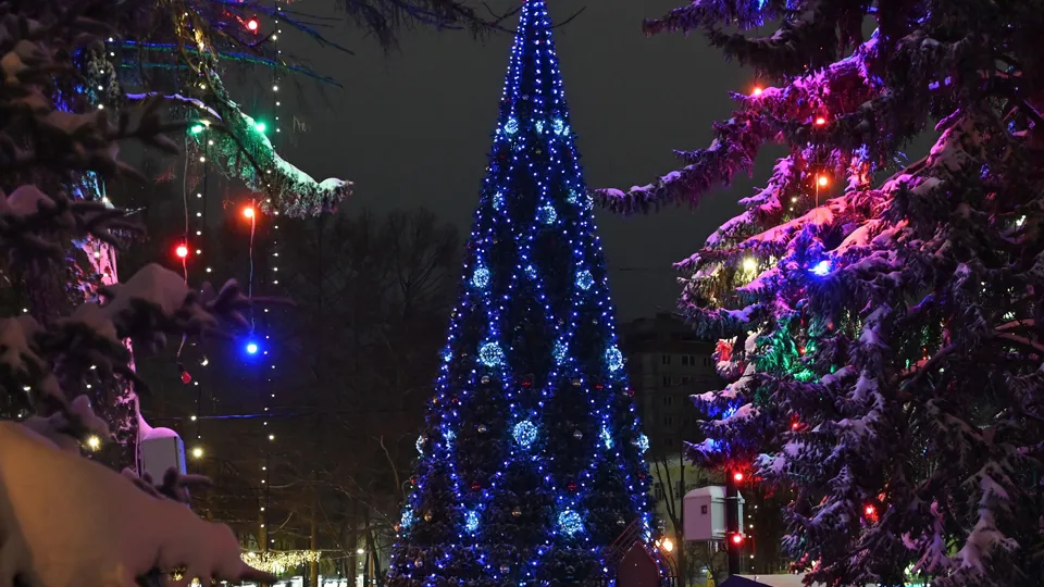 Фото: Сергей Демянюк