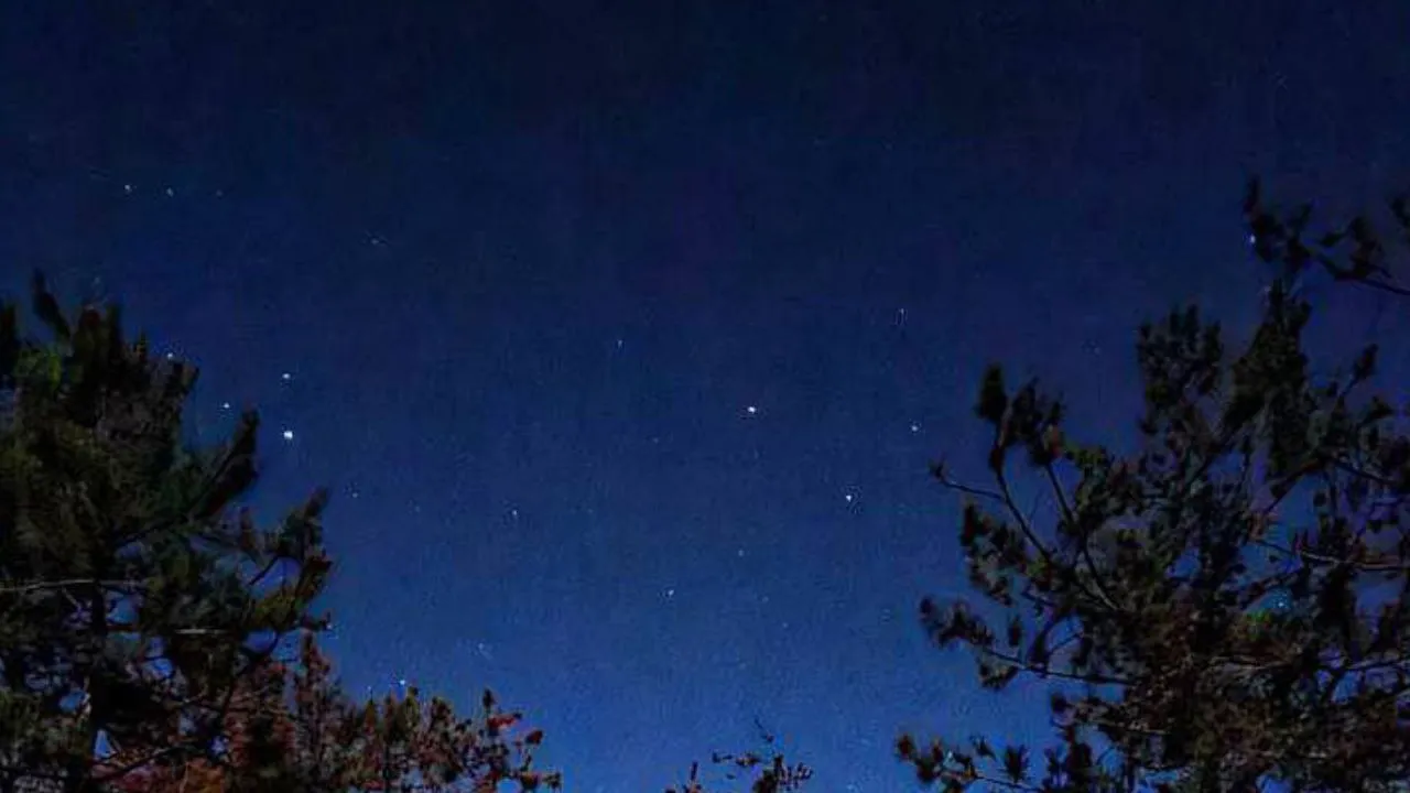 Фото: личный архив Анастасии Широкой