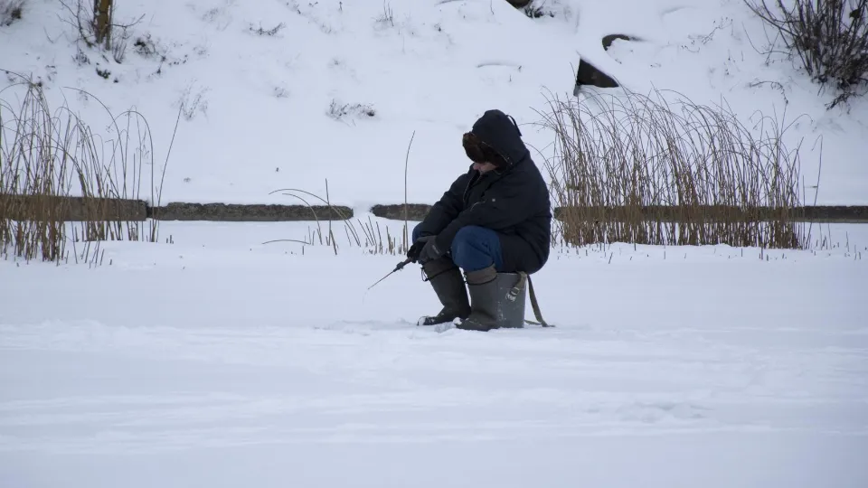Фото: ГКУ МО «Мособлпожспас»