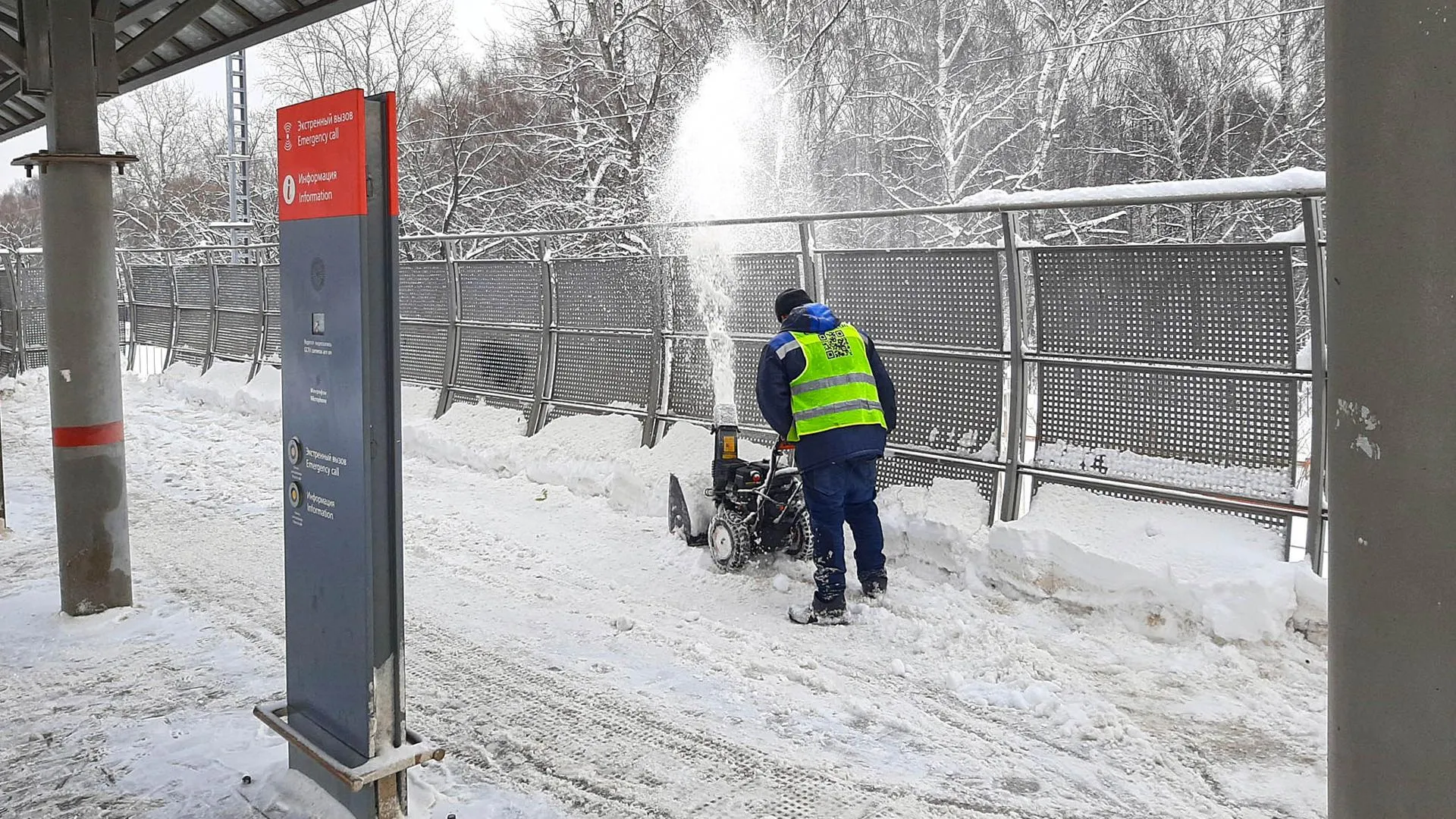 Дмитрий Кравцов