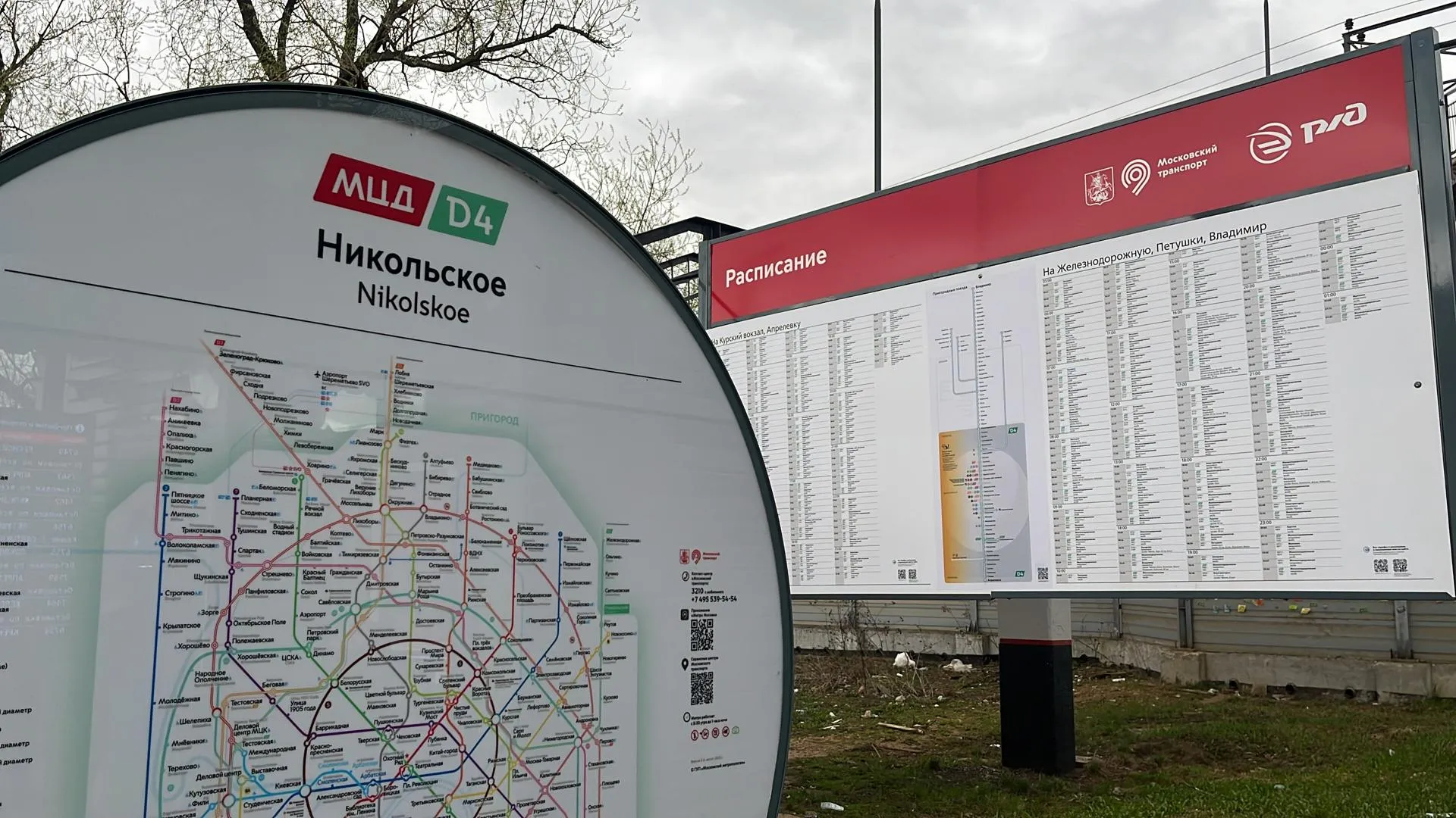 Фото Елизаветы Приймак