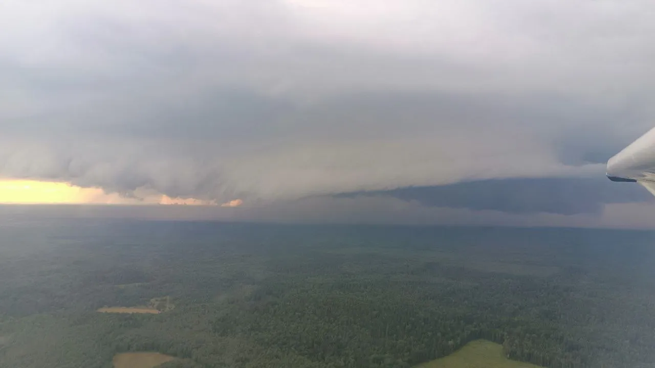 Фото: Комитет лесного хозяйства Московской области