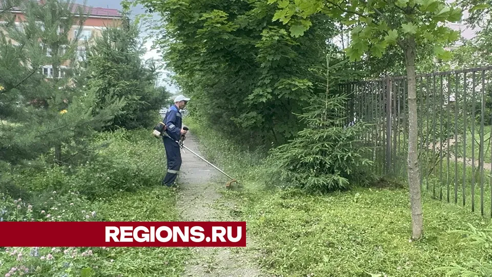 Фото: Евгения Герасимова