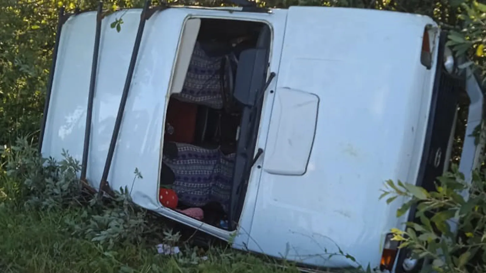 Фото: ГКУ МО «Мособлпожспас»