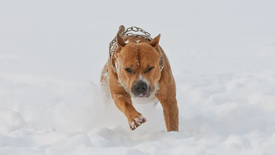 Фото: istockphoto.com