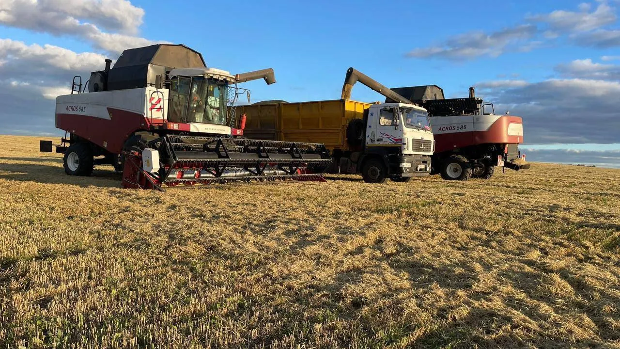 Фото: КФХ Владимира Цветкова