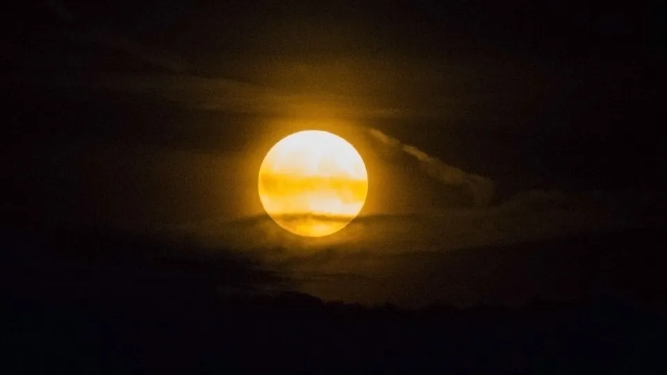 Фото: МедиаБанк Подмосковья/Галина Добрынина