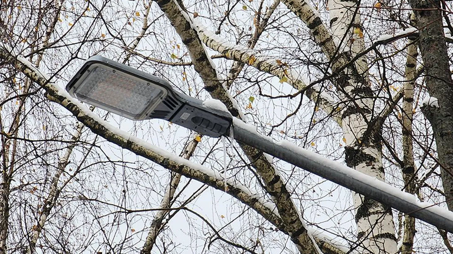 Фото: МедиаБанк Подмосковья/Валентина Максимова