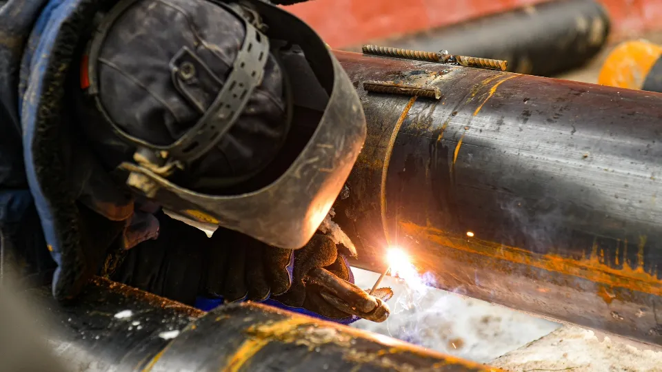 Фото: пресс-служба администрации г.о. Химки