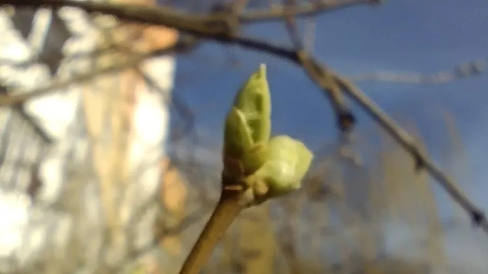 Фото: REGIONS/Наталия Надточая