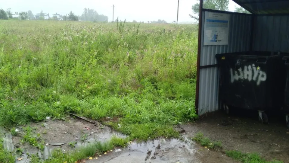 Фото: Администрация городского округа Лотошино