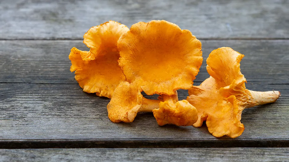 Фото: freepik.co