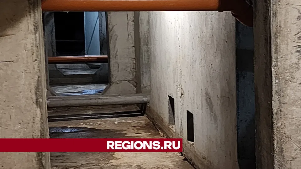 Фото: REGIONS/Наталия Надточая