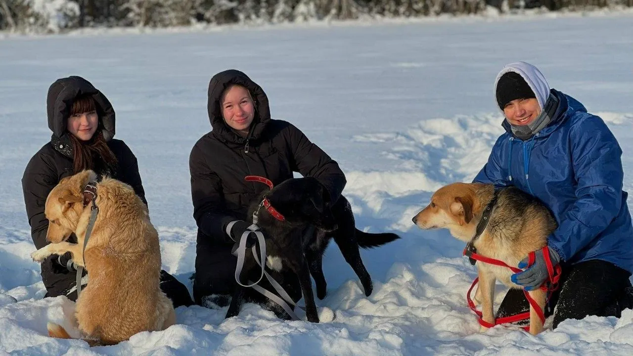 Министерство образования Московской области