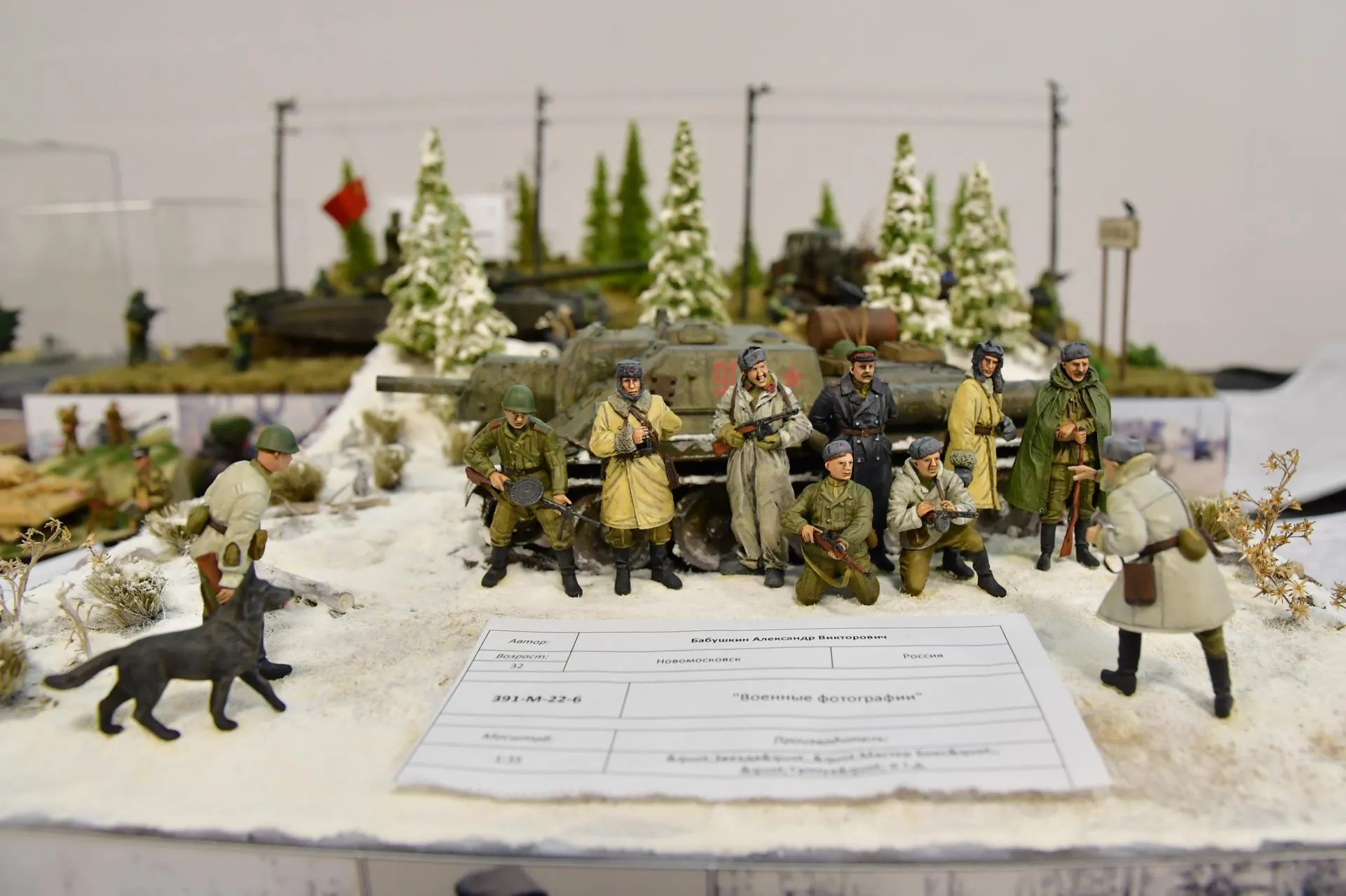 Фото: Наталья Бычкова/Ступинская панорама