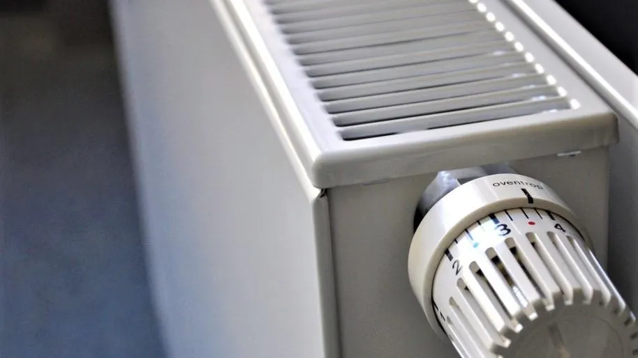 Фото: pxhere.com