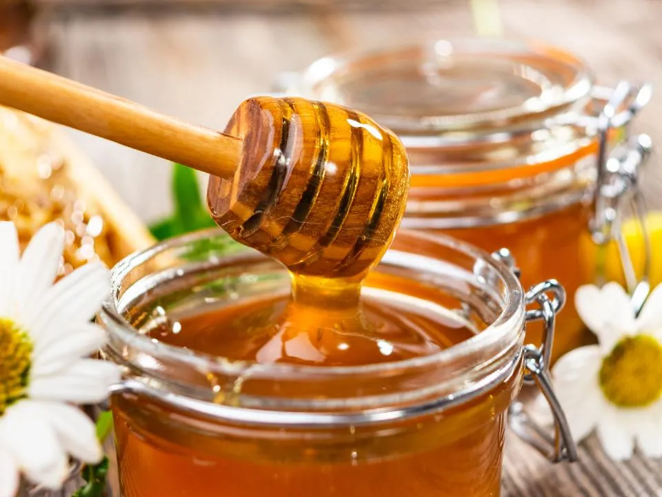 Фото: istockphoto.com/zeleno