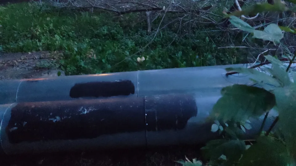 Фото: Алина Рутько