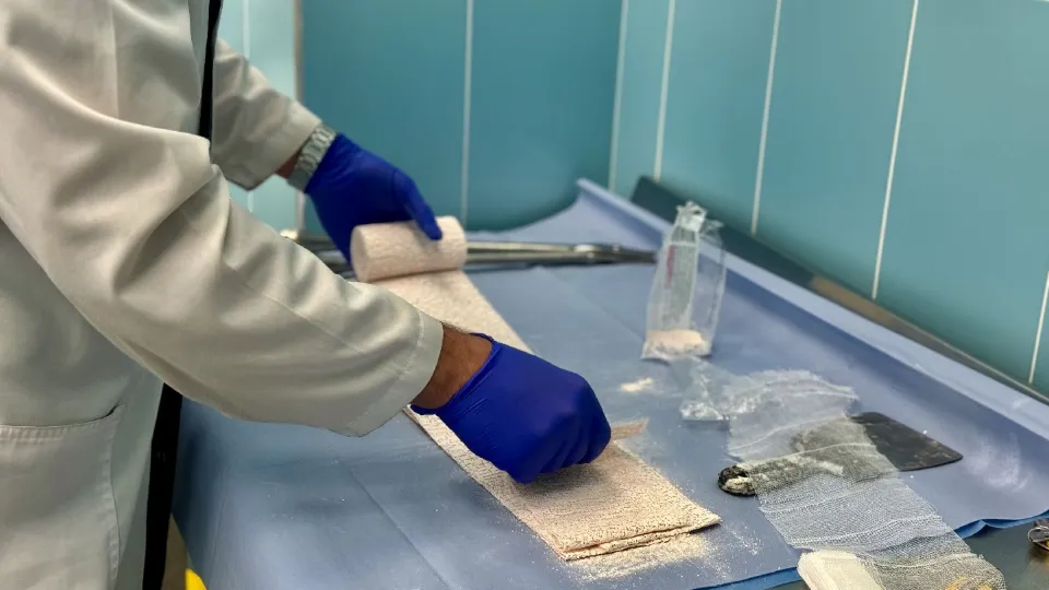 Фото: МедиаБанк Подмосковья/Полина Абраменко