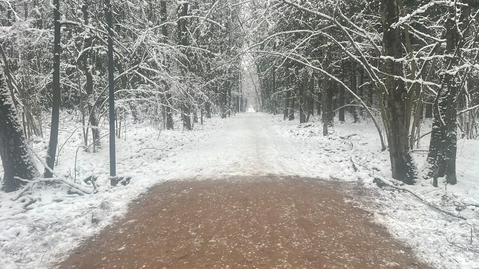 Фото: Комитет по культуре администрации Одинцовского городского округа