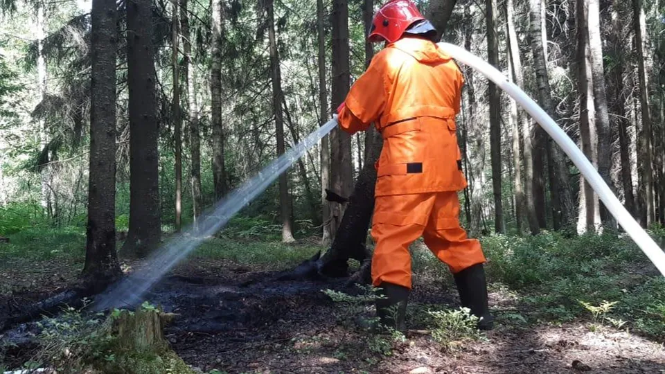 Фото: пресс-служба Администрации г.о. Черноголовка