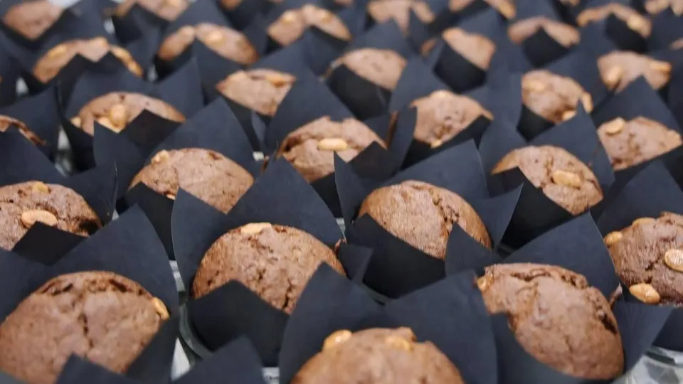 Фото: пресс-служба администрации Волоколамского муниципального округа