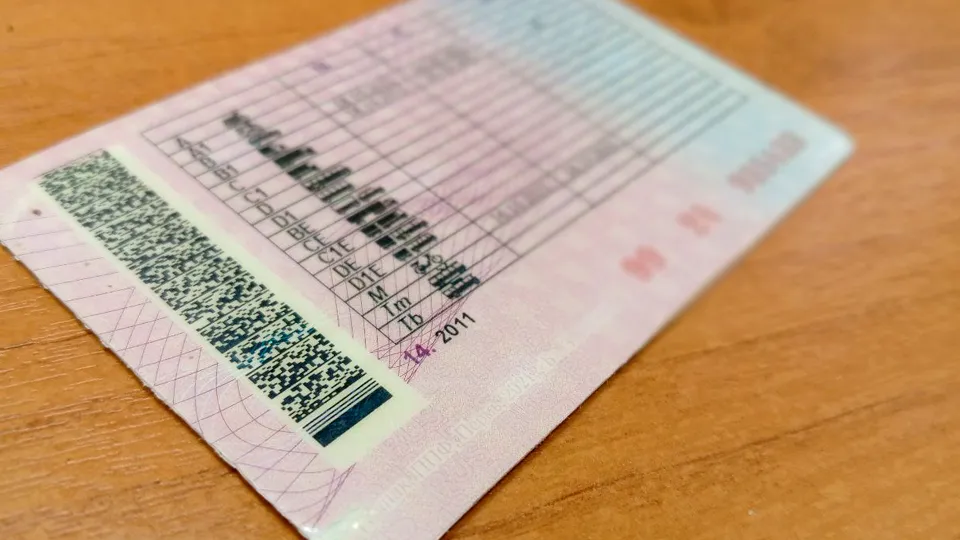 Фото: REGIONS/Василий Тремасов