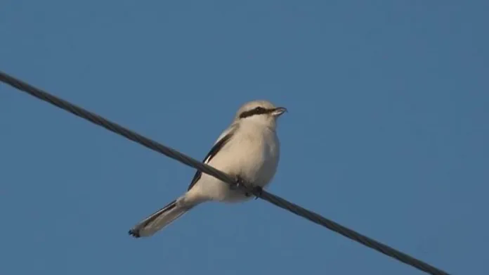 Пресс-служба Министерства экологии и природопользования Московской области