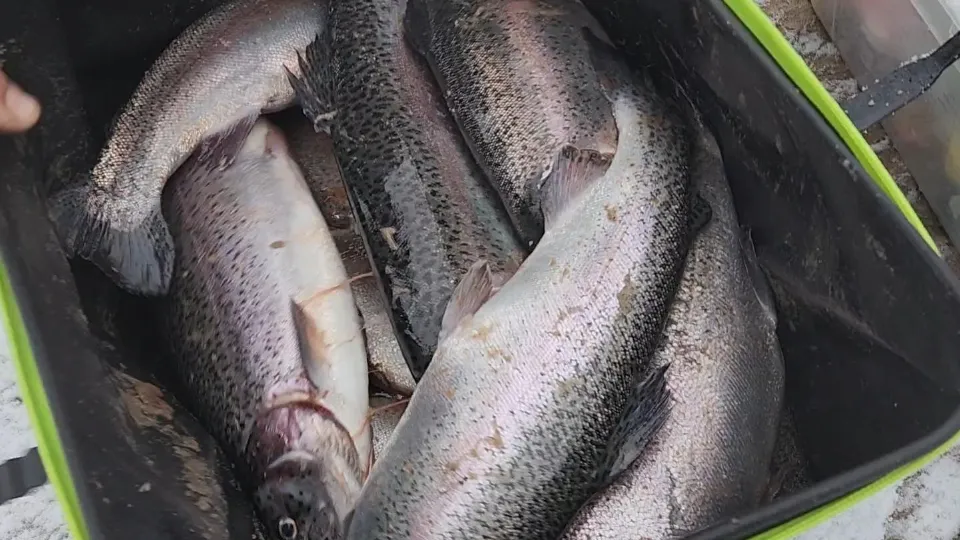 Фото: Ольга Антонова