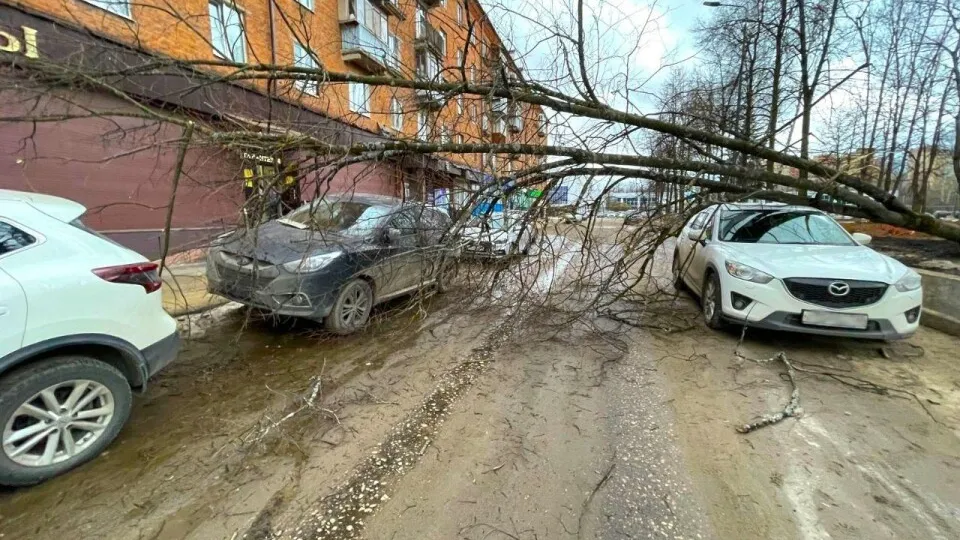 Фото: ГКУ МО «Мособлпожспас»