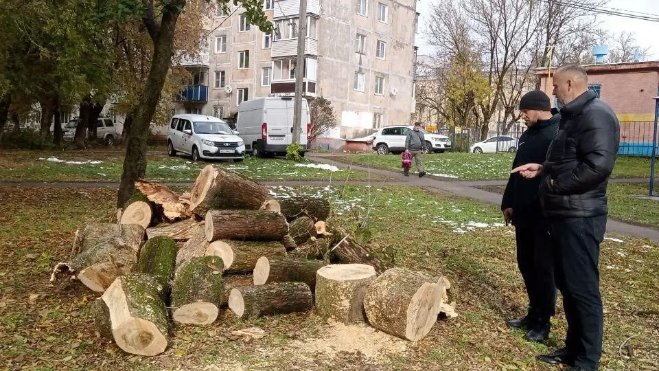 Фото: Администрация г.о. Чехов