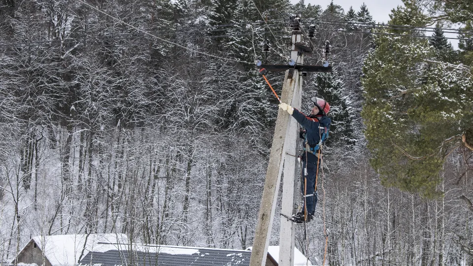 Фото: МедиаБанк Подмосковья/Елена Лабзина