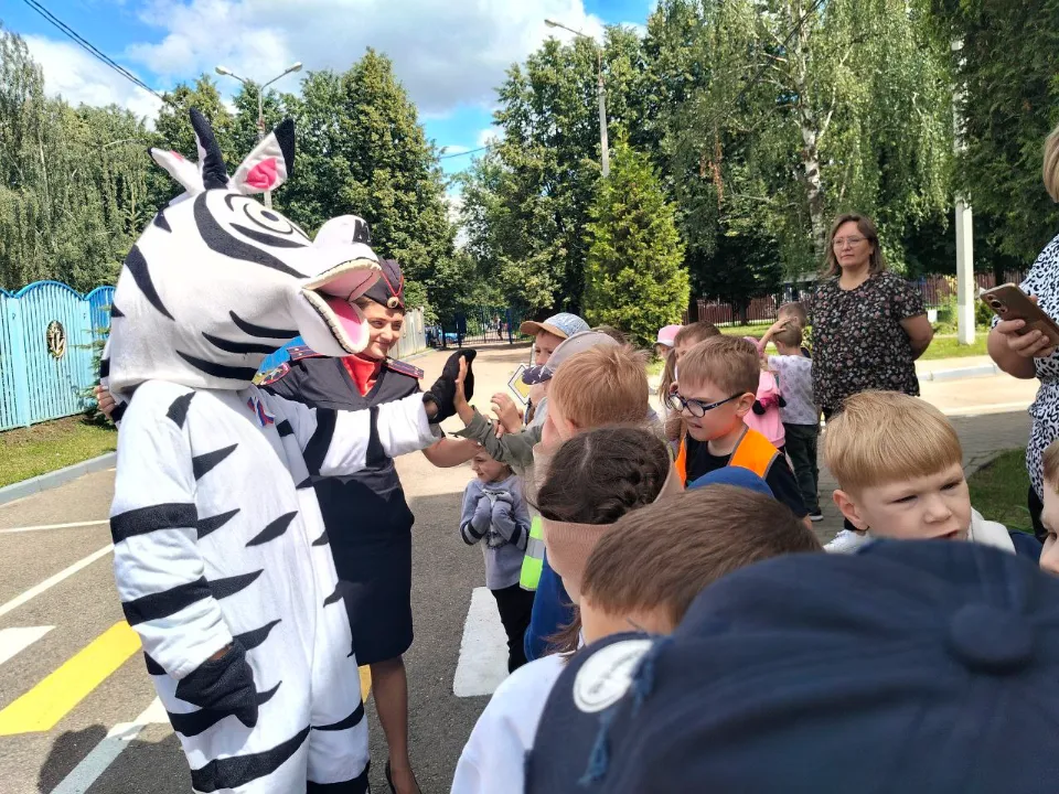 Фото: Госавтоинспекция УМВД России по г. о. Домодедово