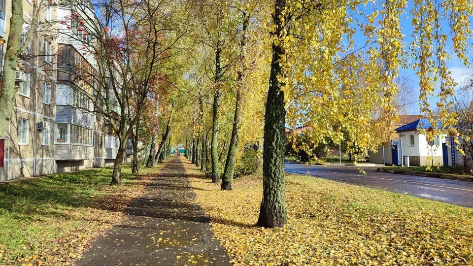 Фото: REGIONS/Елена Забелина