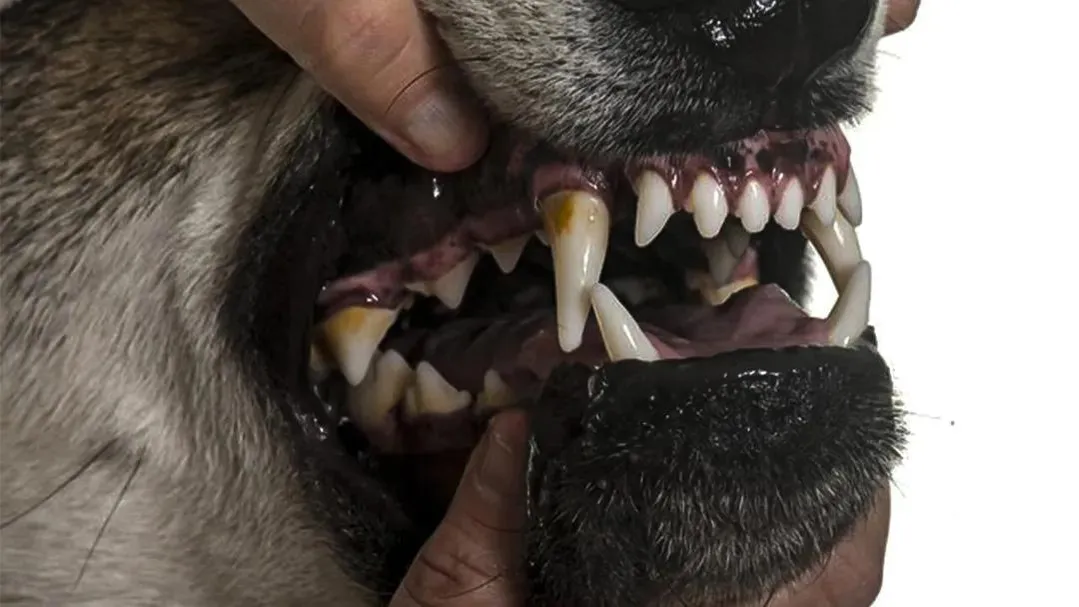 Источник: freepik.com